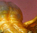 Dragon Table image - top