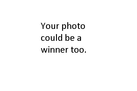 No Winner